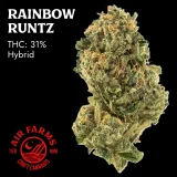 web_1024x1024_Craft-Flower_Rainbow-Runtz_1