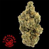 Rainbow Runtz Marijuana (Craft AAAA+) by Air Farms